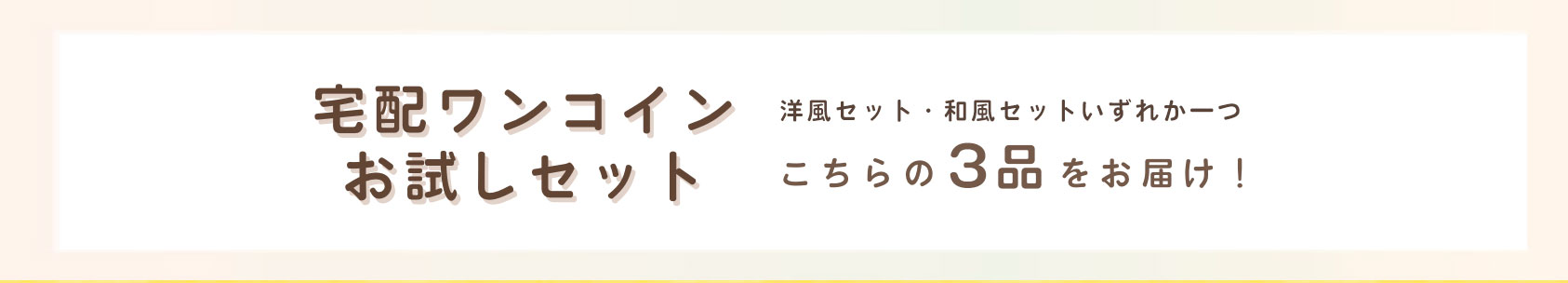 宅配ワンコインお試しセット こちらの3品をお届け！