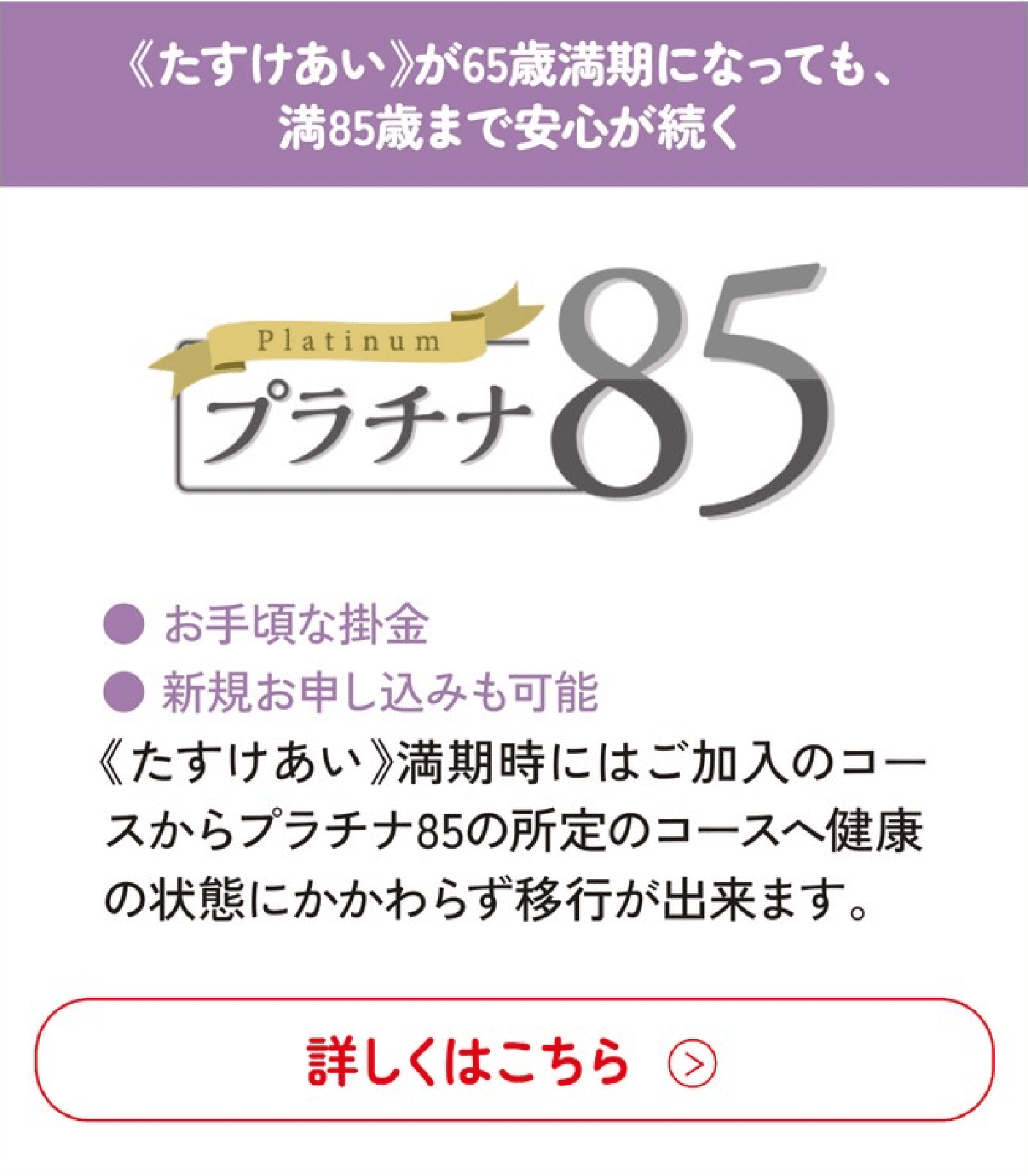プラチナ85(満65歳〜満85歳まで安心が続く)