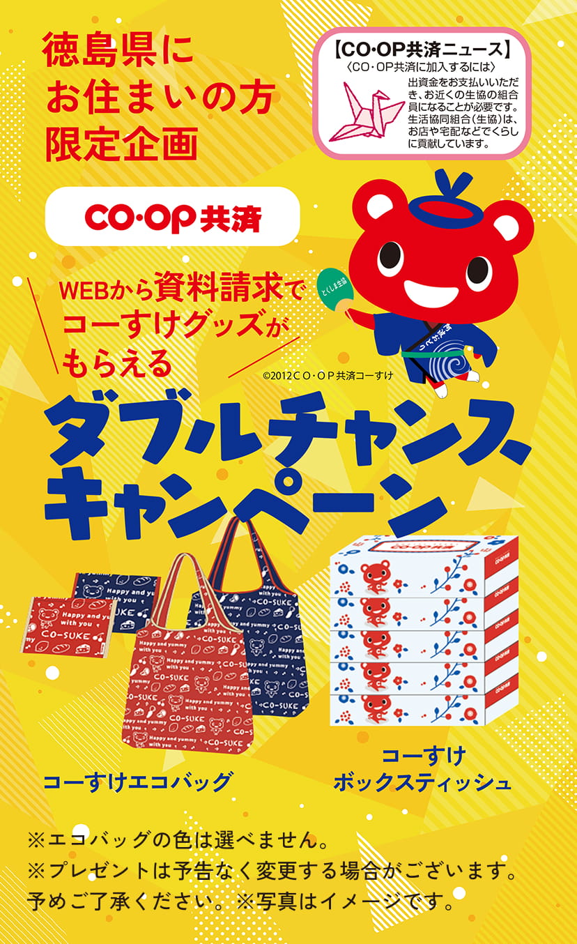 ダブルチャンスキャンペーン:WEBから資料請求でコーすけグッズがもらえる