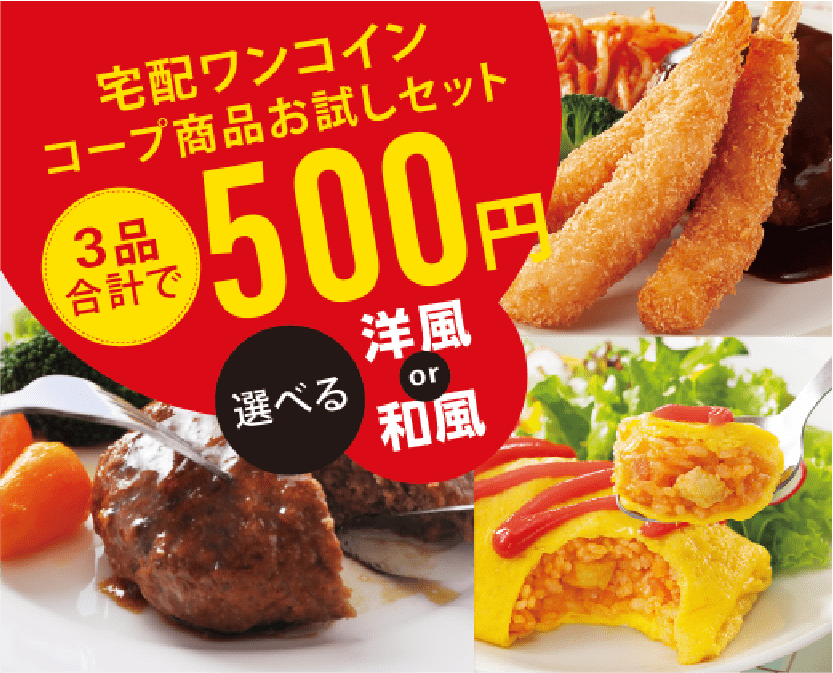 ワンコインお試し