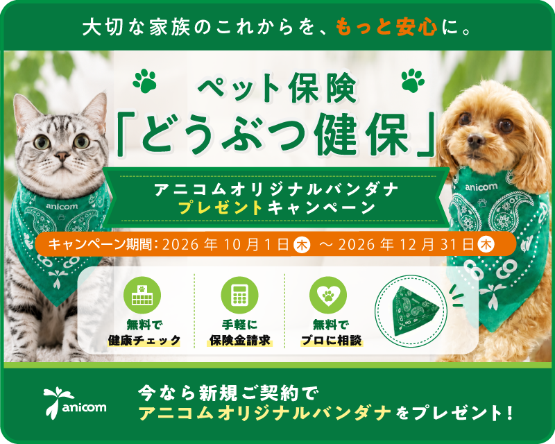ペット保険